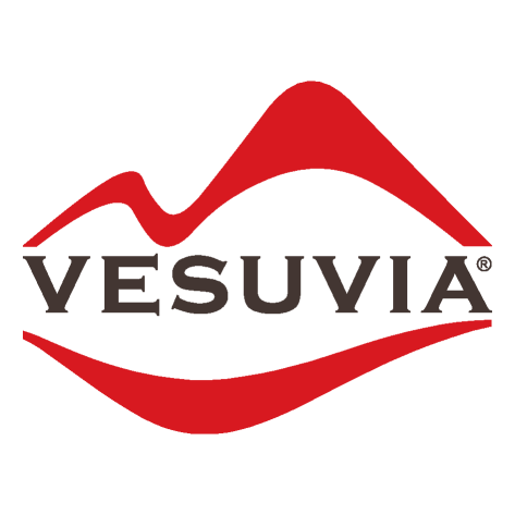 VESUVIA Brugnoli a Bologna